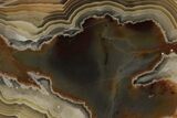 Polished Crazy Lace Agate - Mexico #194132-1